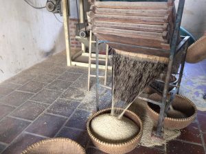 14971020_1323316551046560_497003791_o