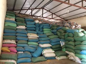 14976055_1323316144379934_1883255388_o