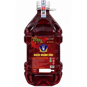 Rượu Ngâm Dâu Can 2L 25% Vol